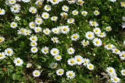 Resize of DSC04304.JPG